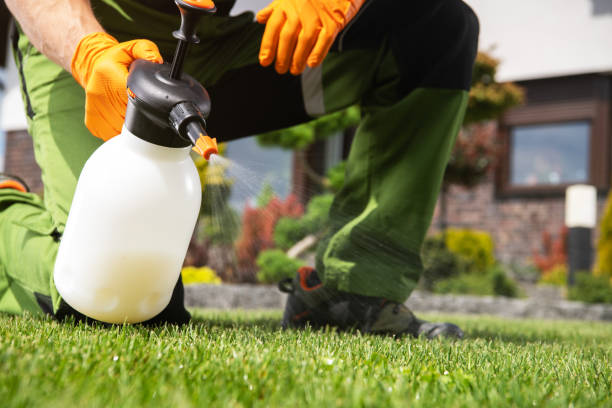 Professional Pest Control in Potomac, MD